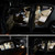 2 PCS 3W 200 LM 6000K 36MM 8 SMD-2835 LEDs Bicuspid Port Decoding Car Dome Lamp LED Reading Light, DC 12V