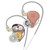 KZ-DQ6S Three-Unit Dynamic Subwoofer In-Ear Headphones