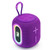 T&G TG664 LED Portable Subwoofer Wireless Bluetooth Speaker