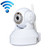 Wireless Infrared IP Camera with WiFi, 0.3 Mega Pixels, Motion Detection and Night Vision / Infrared Alarm Input Function