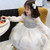 Girls Long Sleeve Mesh Dress