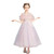 Embroidery Flower Pattern Long Lace Princess Dress Pettiskirt Performance Formal Dress for Girls