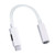 Type-C to 8 Pin / 3.5mm Audio Adapter Cable