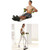Multifunctional Exercise Home Fitness Equipment Intensity Adjustable Abdominal Wheel Resistance Pull Rope Muscle Power
