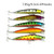 HENGJIA Set002 43 PCS Sequin Set Metal Sequins False Bait Fresh Sea Bass Fishing Bait Set, Length: 5 to 10.5cm, Boxed