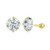 S925 Sterling Silver Platinum Plated Zircon Stud Earrings Jewelry