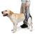 Dog Hind Leg Auxiliary Strap Decompression Auxiliary Travel Belt For Elderly and Injured Dog