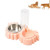 Pet Supplies Automatic Waterer Dog Cat Food Double Bowl