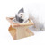 Oak Cat Bowl Rack Inclined Anti-Choking Ceramic Cat Bowl