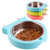 Stainless Steel Pet Bowl Hanging Bowl Anti-Overturning Dog Cat Bowl Feeder