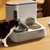 Pet Food Bowl Dog Drinking Fountain Cat Mobile Water Dispenser Automatic Feeding Water Feeder