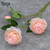 5pcs JC0055 Continental Core Flower Beam Wedding Simulation Flower Home Artificial Silk Flower