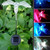 Bird Dragonfly Butterfly Pattern Outdoor Garden Landscape Path Decorative Light