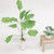 3 PCS 1:12 Mini Doll House Dollhouse Plant Model Foreign Toy Vase Banana Green Tree