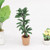 1:12 Mini Doll House Furniture Scene Decoration Plant Potted Brazilian Wood Model