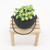 3 PCS 1:12 Mini Doll House Pocket Furniture Hanging Type Decoration Potted Garden Green Plant