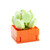 CAYI Potted Plant Building Blocks Office Decoration Small Particles Assembly Puzzle Toys