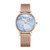 CAGARNY 6812 Round Dial Alloy Gold Case Fashion Women Watch Quartz Watches with Stainless Steel Band