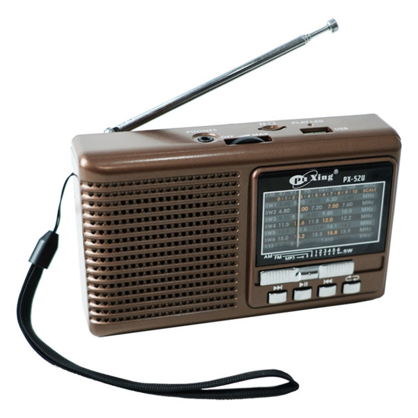 Multi-band Retro Pointer Radio USB Plug In Card Radios