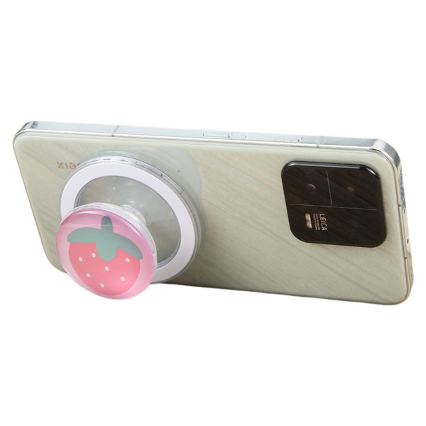 Fruit Pattern Magnetic Airbag Phone Holder