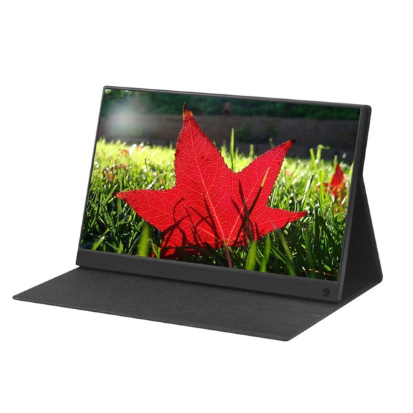 15.6 inch 1080P 178 Degree Wide Angle HD Portable IPS LED Display Monitor