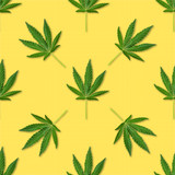 CBD vs. Marijuana: Addiction Differences - ARVOR