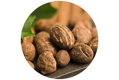 Ingredient Spotlight: The Benefits of Shea Butter in Skincare