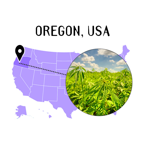 Oregon Grown Hemp