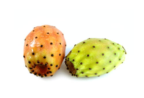 Two prickly pear cactus fruits 