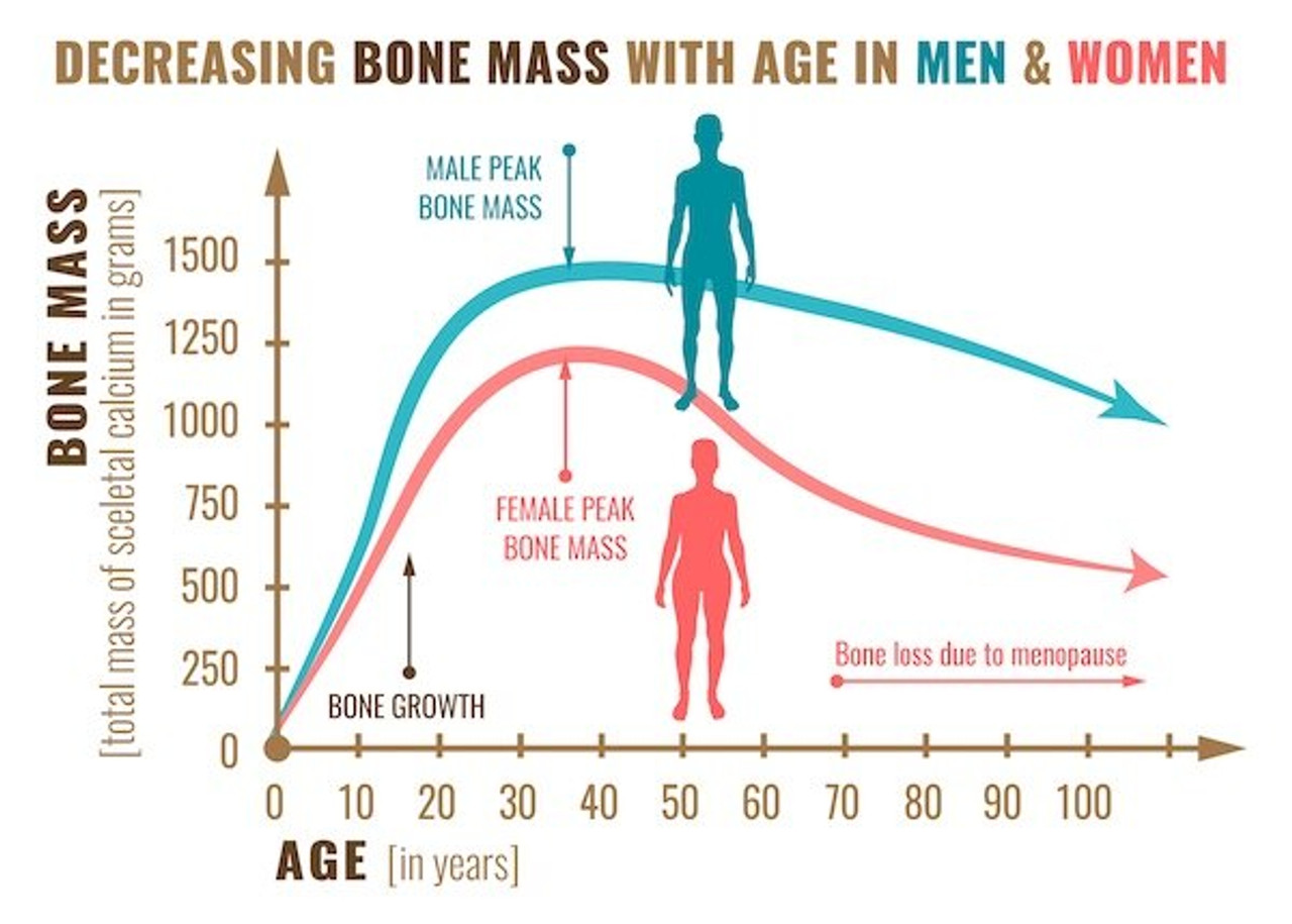 Osteo Mate™ Supplement Facts - Vitamin K2 MK7 helps activate osteocalcin, which helps to build new bone;  Activate MGP, which is responsible for regulating the amount of calcium that accumulates in arterial walls; Helps support the health and elasticity of arterial walls.†