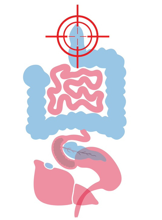 Most Colon Cleanses Target the Wrong End,  Ignoring the True Source of Digestive troubles. Most Colon Cleanses Target the Wrong End,  Ignoring the True Source of Digestive troubles.