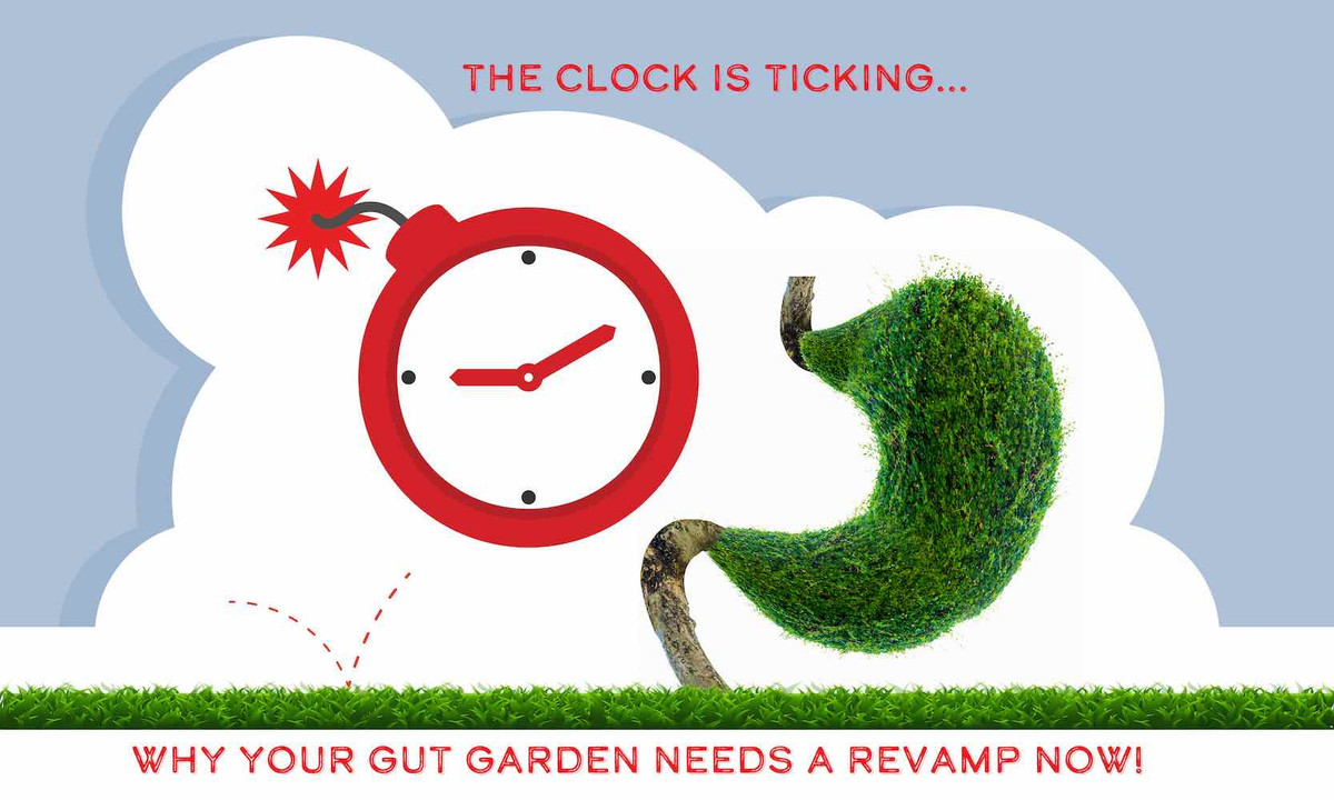 Why Your Gut Garden Needs a Revamp Now! Why Your Gut Garden Needs a Revamp Now!