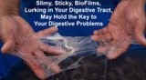 Candida BioFilm Cleanse