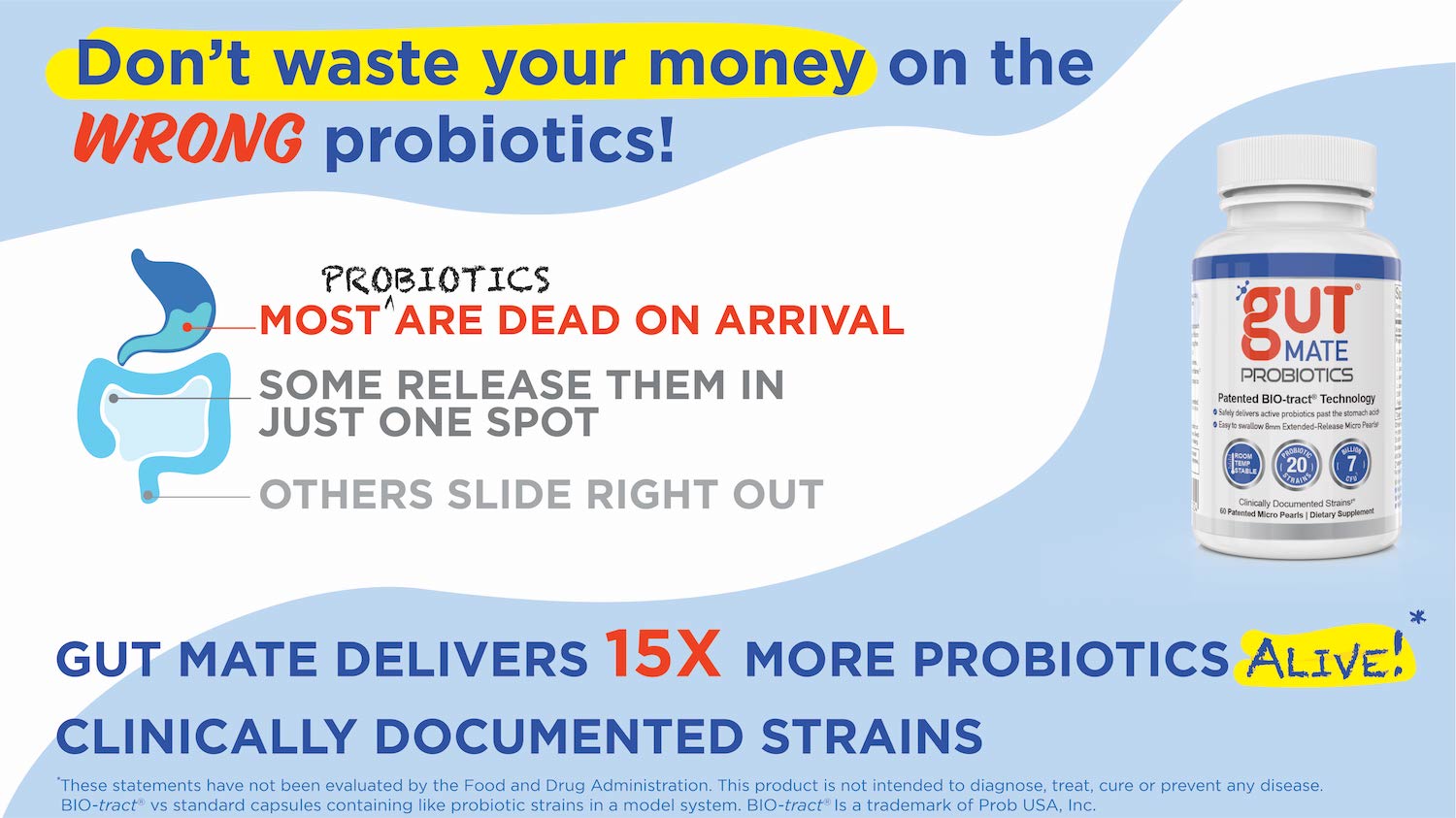 Gut Mate Probiotics Information