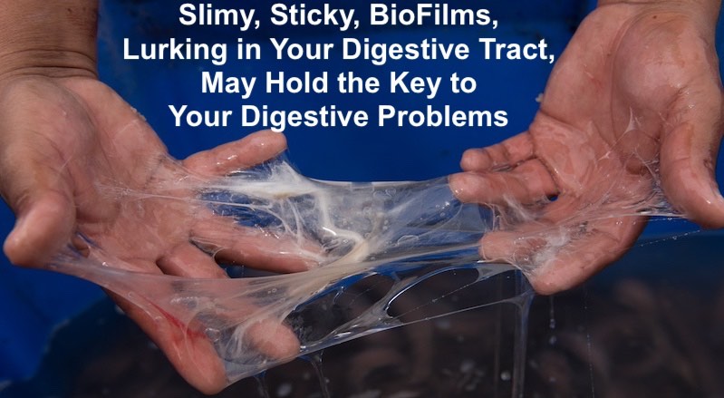 biofilms.jpg