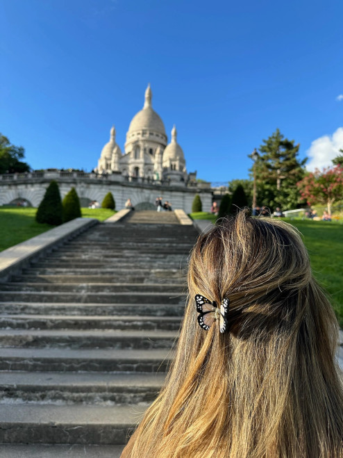 Mini Monarch Claw Hair Clip