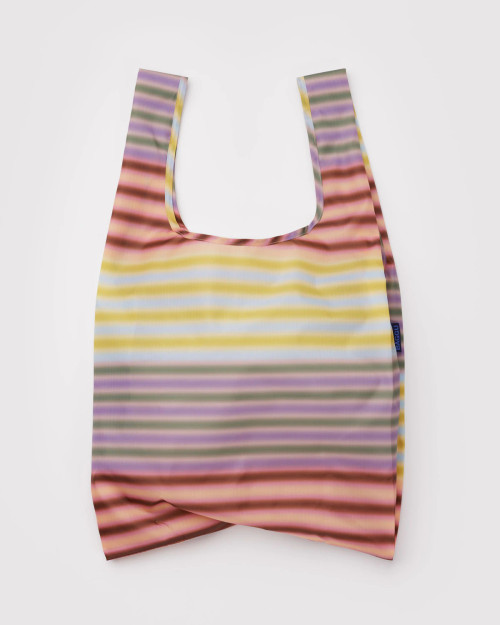 Standard Baggu_ Gradient Stripe Multi