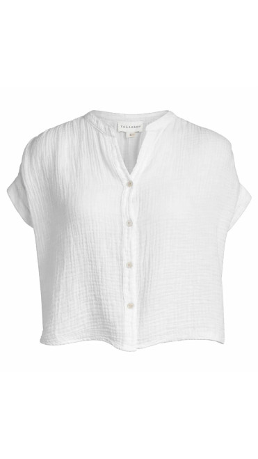 Short Sleeve Top_ White