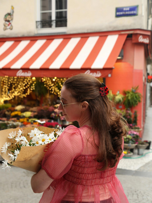 Ladybug Claw Hair Clip