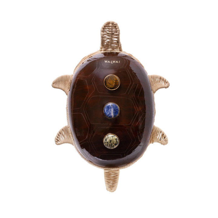Turtle Bag