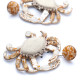 Crab Earrings_ Ivory