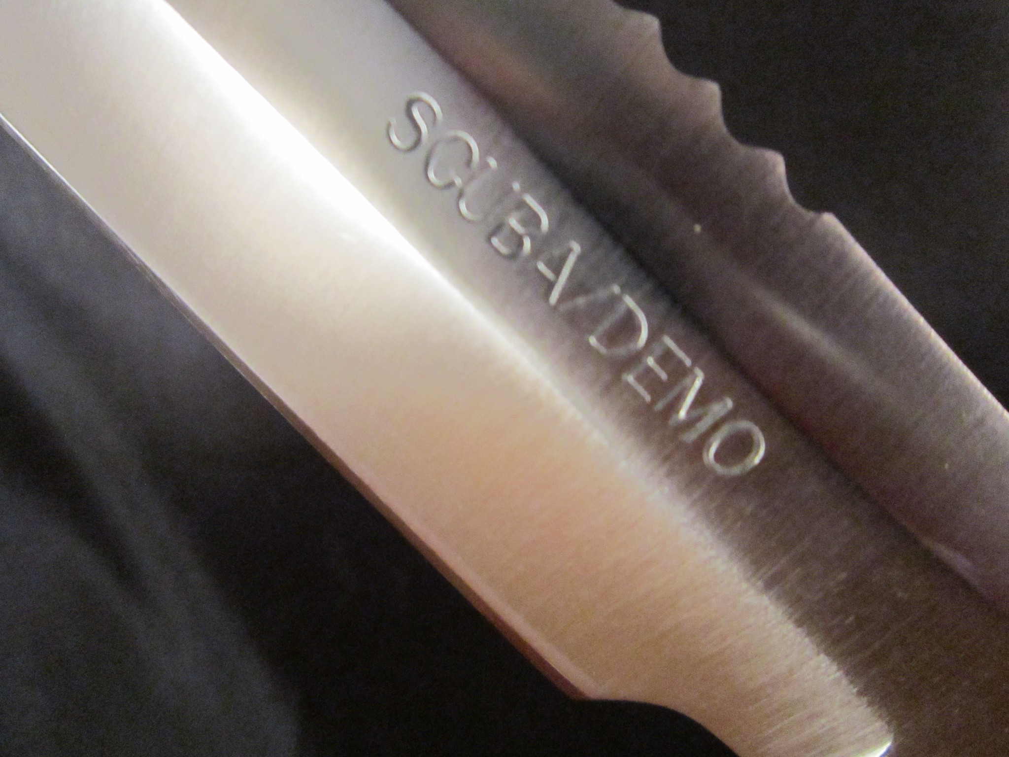 SOG Scuba/Demo Seki, Japan