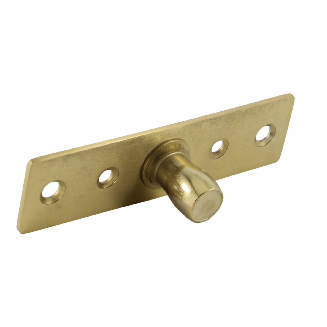 FSACCGDPBG | Pivot Pin for Tag Hydraulic Patch Brush Gold Finish