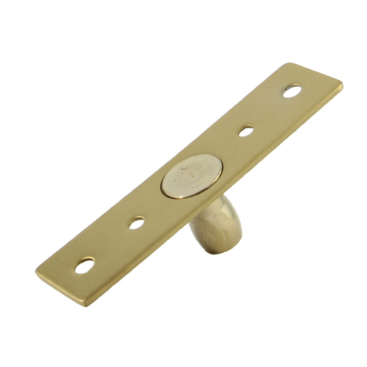 FSACCGDPBG | Pivot Pin for Tag Hydraulic Patch Brush Gold Finish