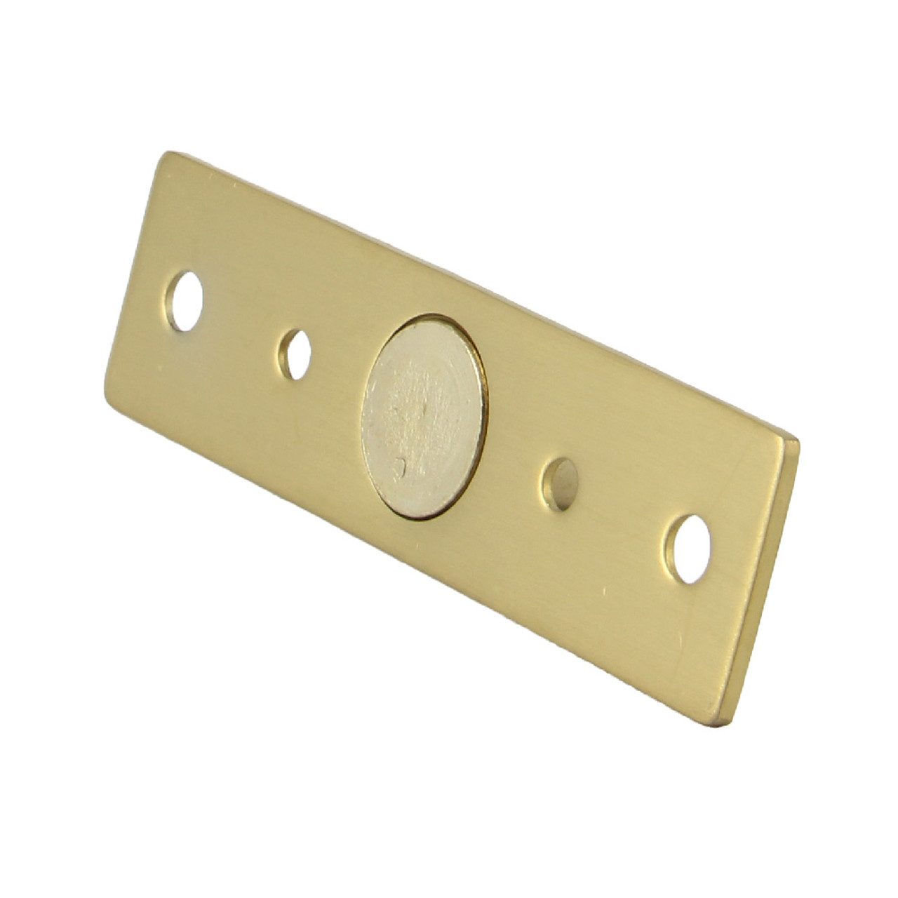 FSACCGDPBG | Pivot Pin for Tag Hydraulic Patch Brush Gold Finish