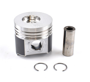 TB-25-39440-00SV OEM PISTON ASSEMBLY STD VECTOR™