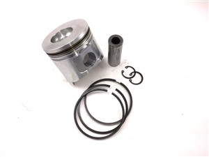 TB-37-13-1066 PISTON ASSY W/RINGS 50MM 486V