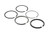 TB-37-11-8079 C201 PISTON RING SET 0.25MM (PER PISTON)
