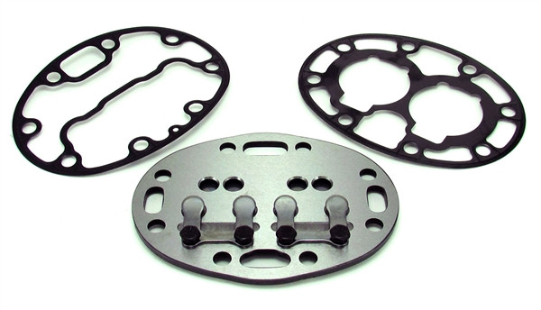 TB-17-44744-00-AM VALVE PLATE SIDE DP