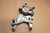 Rear brake caliper - Δαγκανα πισω φρενου XRV750 RD07